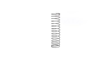 Auto Skim Valve Spring